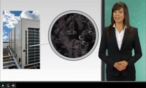 legionella-video