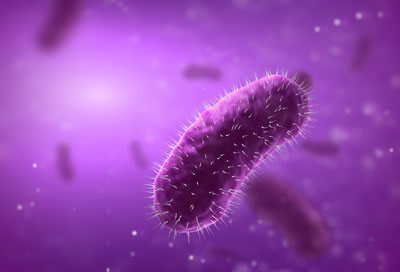 chlorination of bacteria