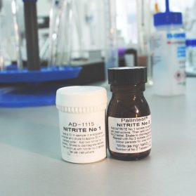 Nitrite (Tablet) Testing Kit - RGPK011