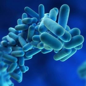 Disinfectants & Biocides