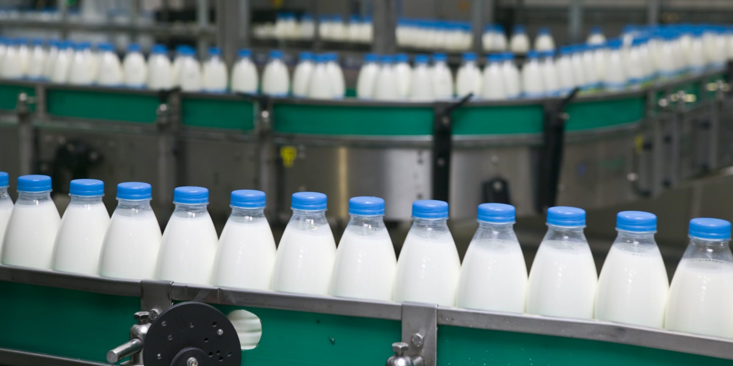 Dairy water treatment
